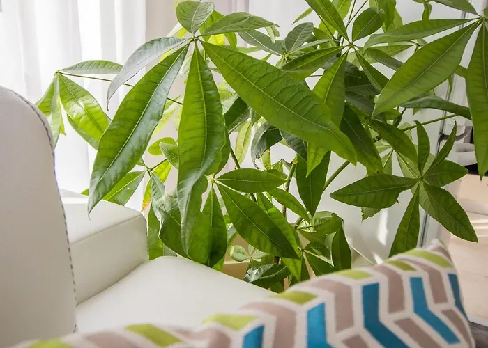 Penthouse At White Cliffs * Byala (Varna)